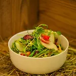 Aktivhotel Pehab Hotel Ramsau am Dachstein