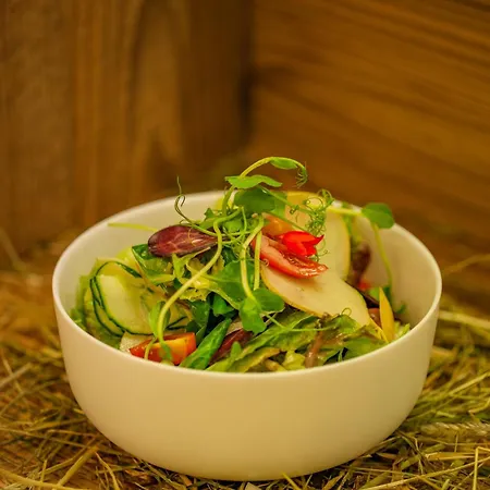 Aktivhotel Pehab - Dachstein Rooftop-spa ホテル ラムサウ・アム・ダッハシュタイン